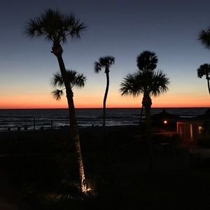 Meet your Posher, Lexi